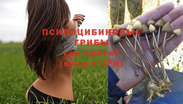 гашик Балахна