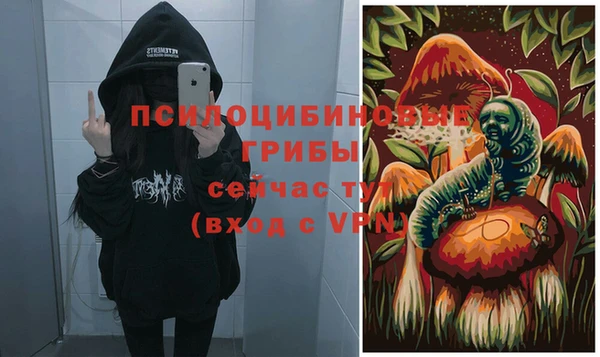 эйфоретик Саяногорск
