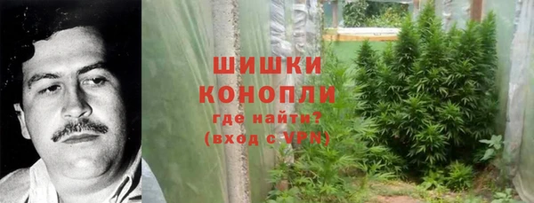 соль ск Арсеньев